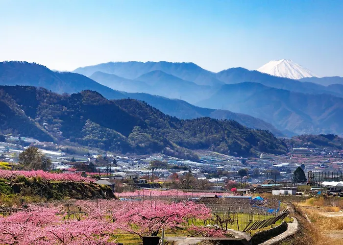 塞里纳旅馆
